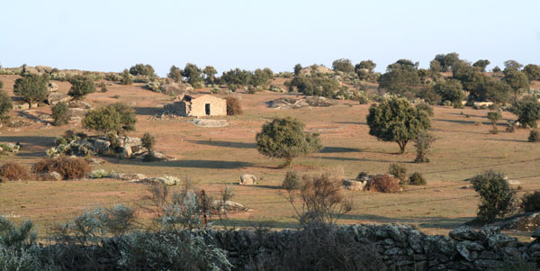 Boulderlandschap